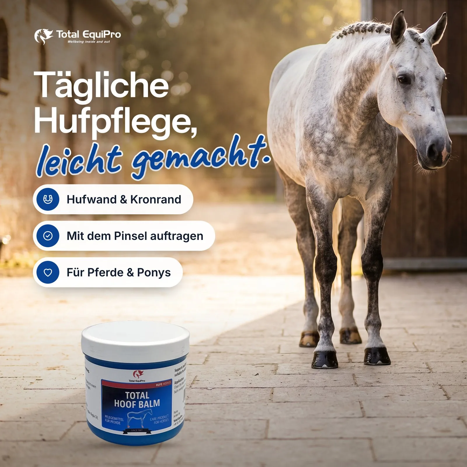 Hoof Balm als Startbild: Dose am Putzplatz vor einem Schimmel